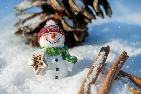 Enjoy The Holiday Season in Canton