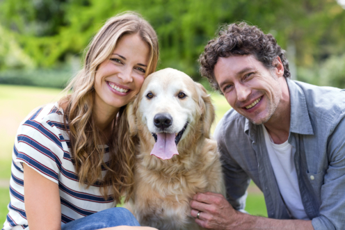 Royalty-free stock photo ID: 568868833